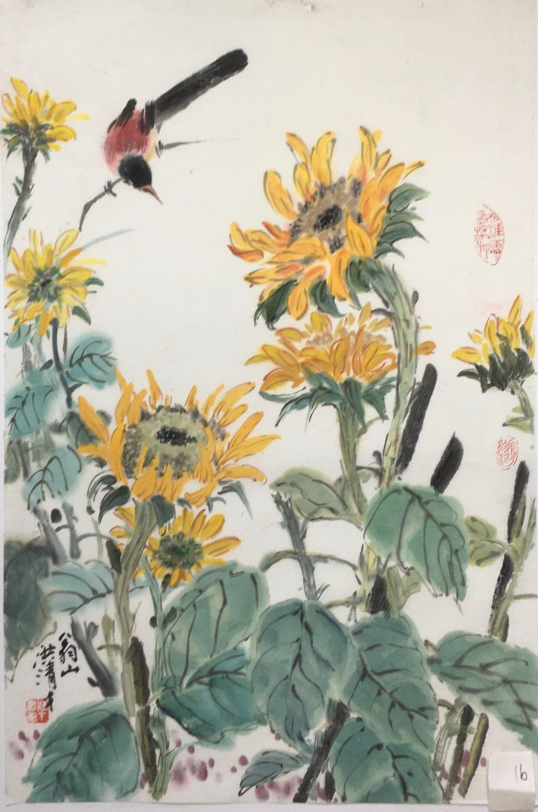Sunflowers and Long-Tailed Minivet